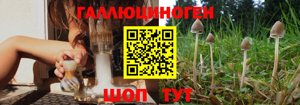 Галлюциногенные грибы прущие грибы  Псилоцибиновые грибы прущие грибы  купить наркотики сайты  Вход с VPN  Лабинск 